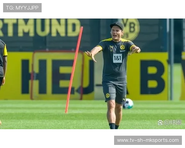 泰尔齐奇：比去年更自信，期待新机遇，泰尔什么意思