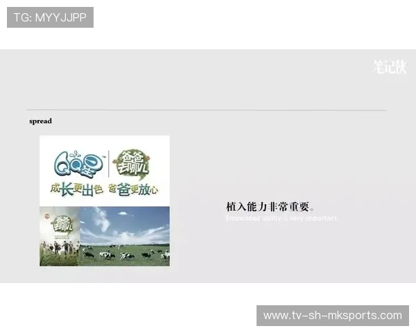 体系成熟打法稳定高效